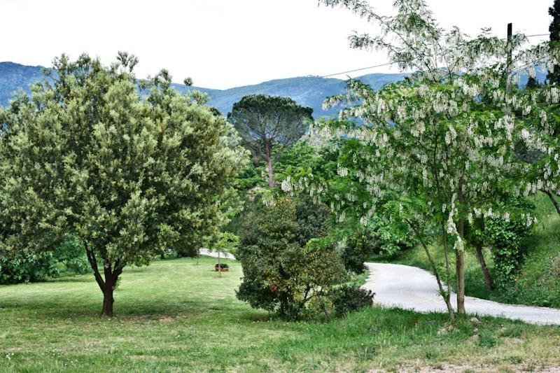 Il Molendino Pisa B&B Calci Ngoại thất bức ảnh