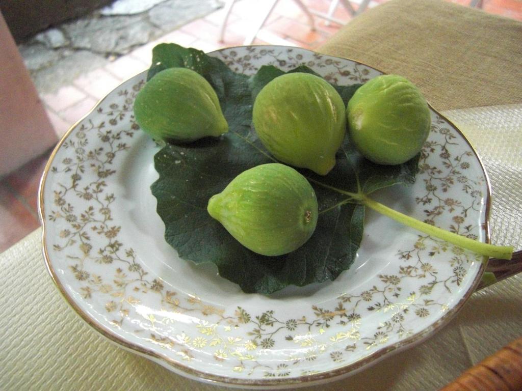 Il Molendino Pisa B&B Calci Ngoại thất bức ảnh