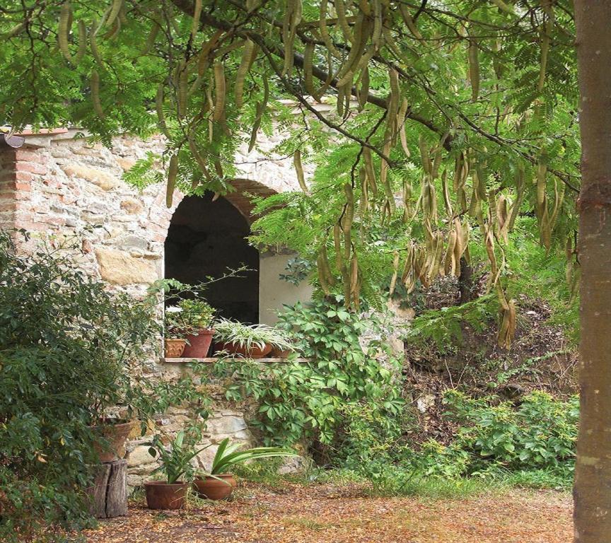 Il Molendino Pisa B&B Calci Ngoại thất bức ảnh